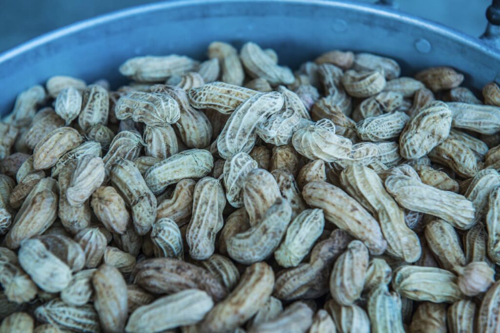 Background of boiled peanuts, Thailand.