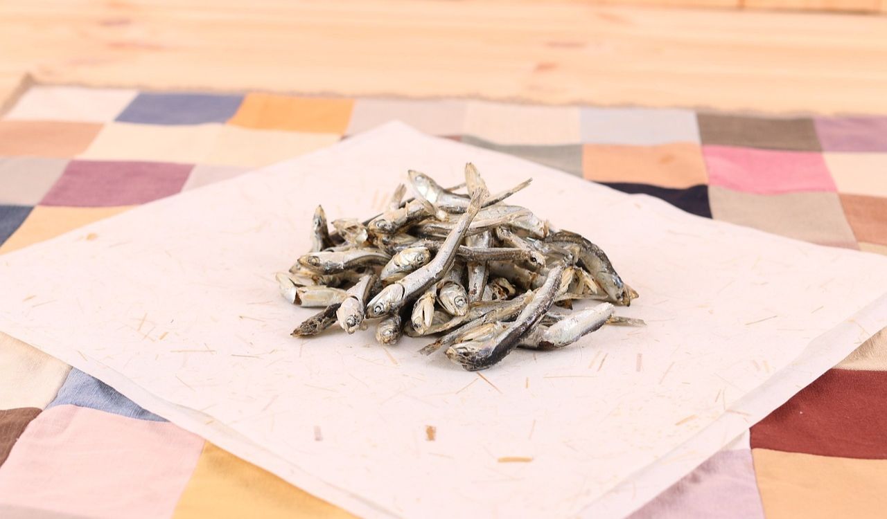 Anchovy, Nature, Fish image.