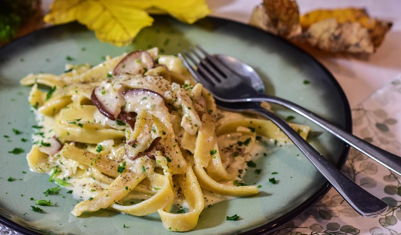 Creamy mushroom noodles