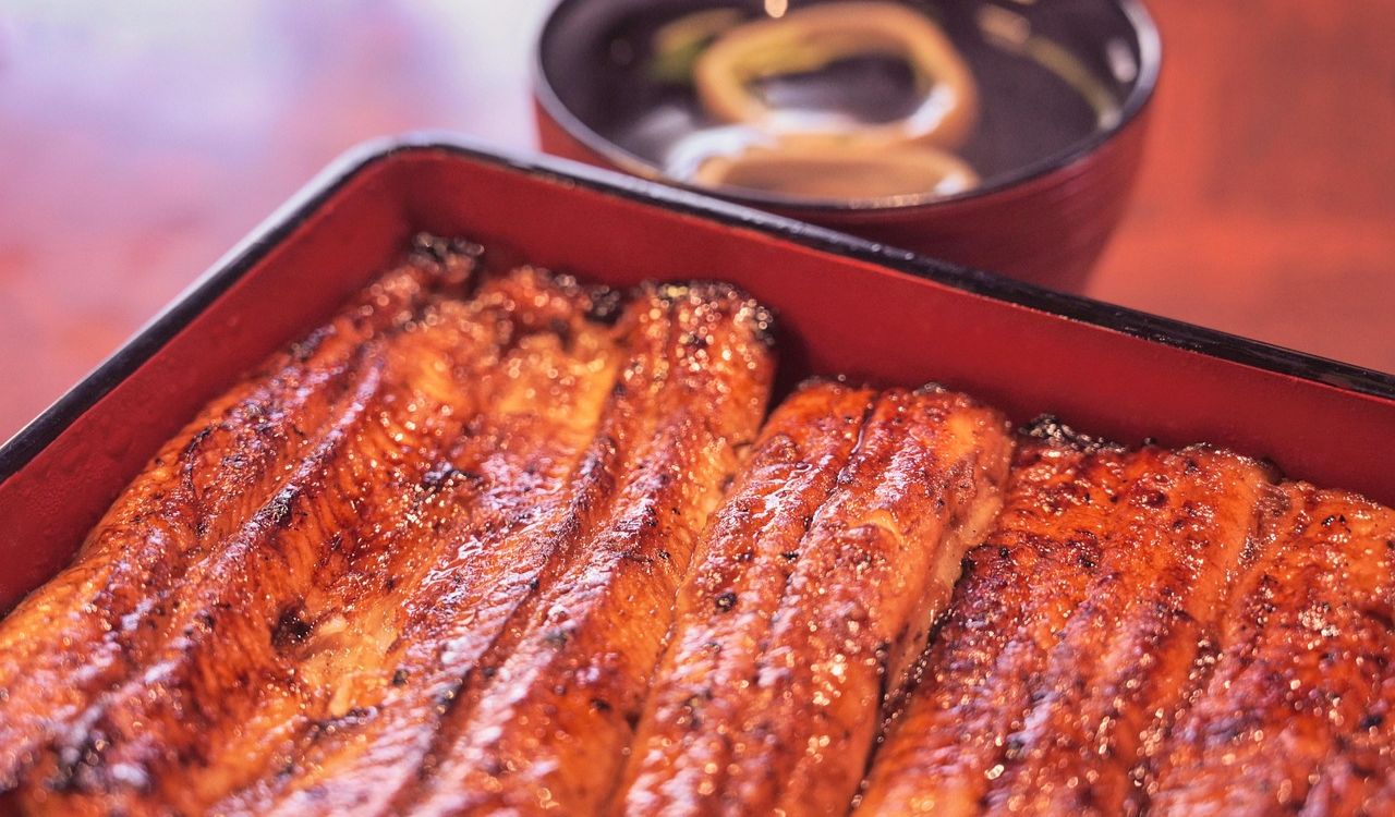 Eel, Unagi eel, Kabayaki image.