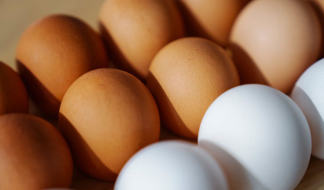 White and Brown Eggs in Close Up Photography