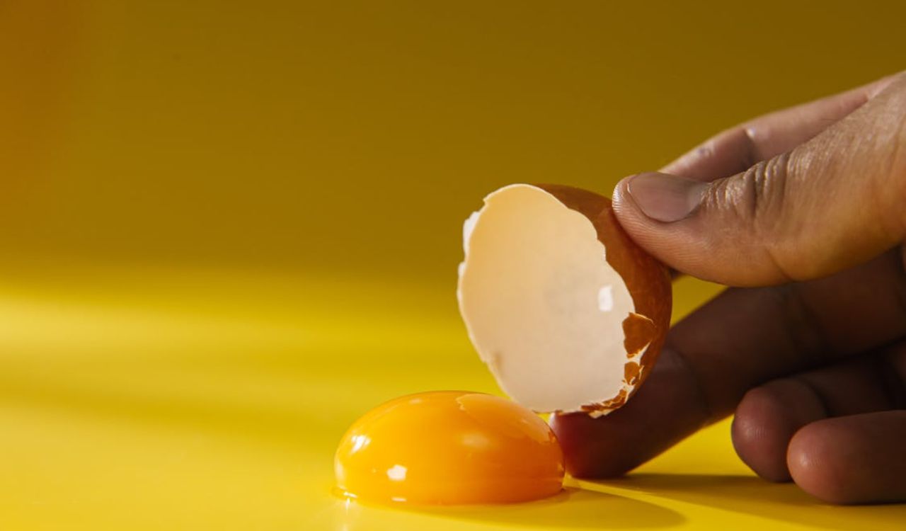Person holding an Egg Shell