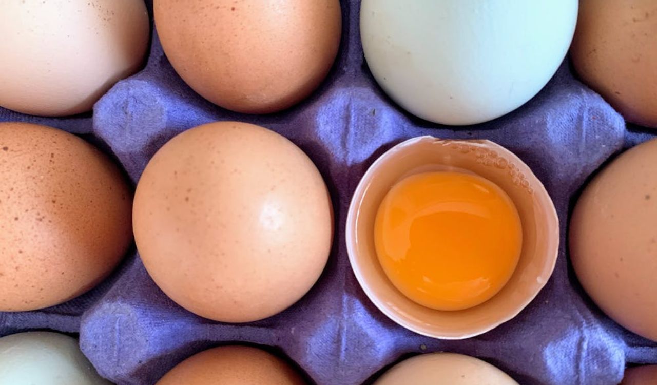 Eggs on the Egg Tray