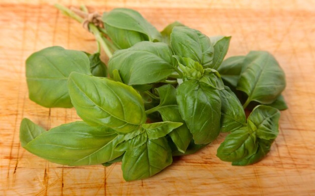 Fresh basil leaves on a wooden cutting board