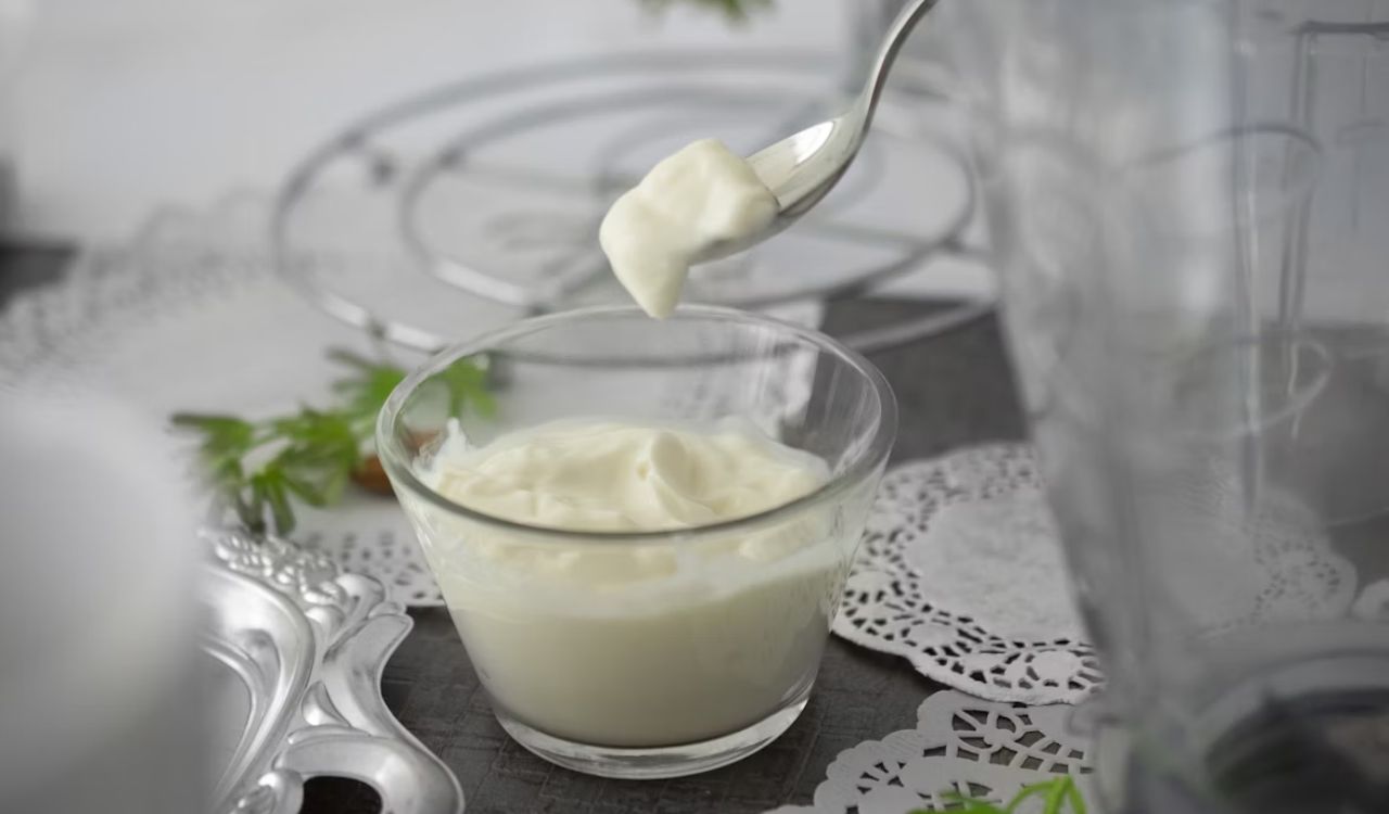 Cup of Greek yogurt
