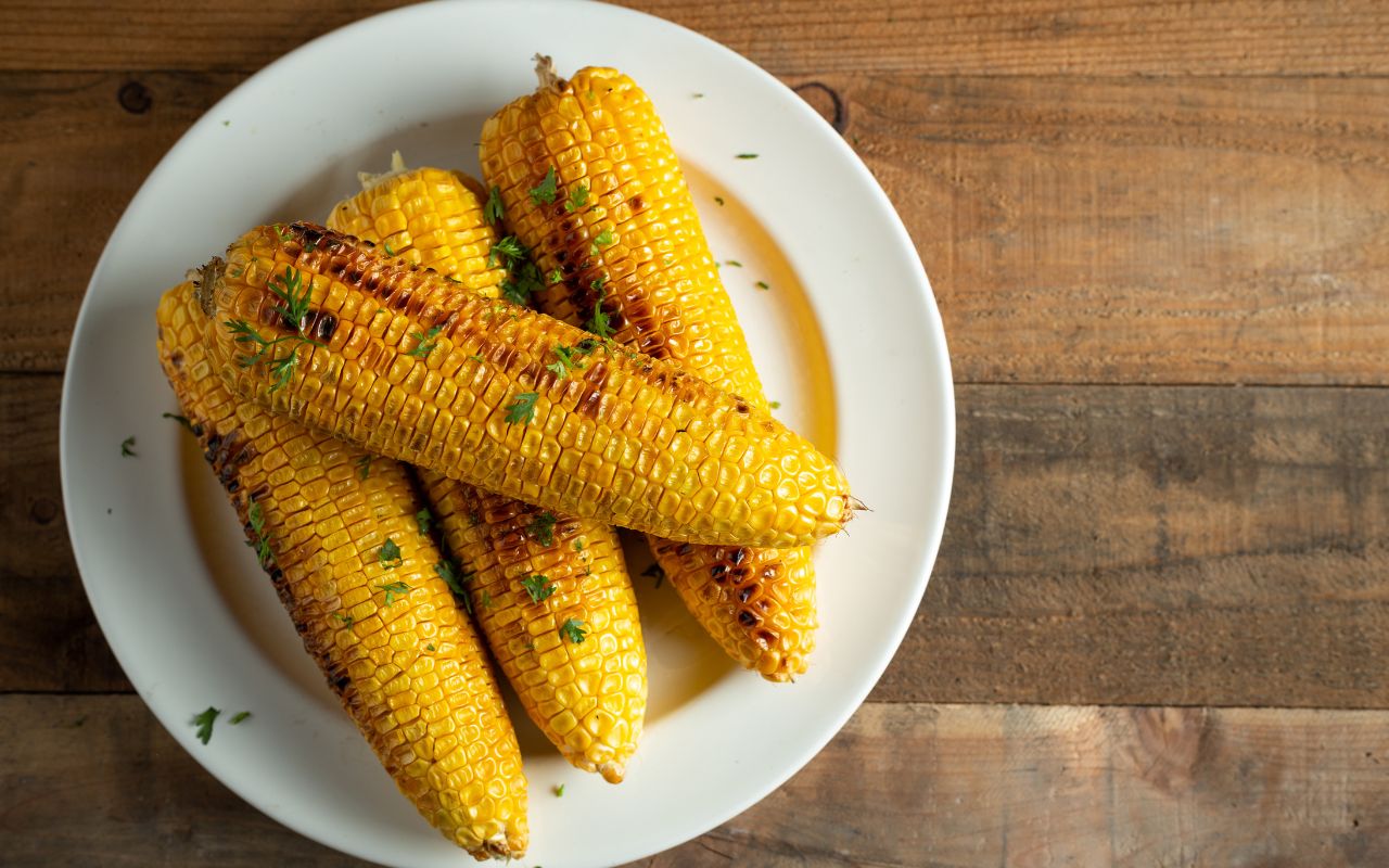 Grilled corn on the cob on a white plate