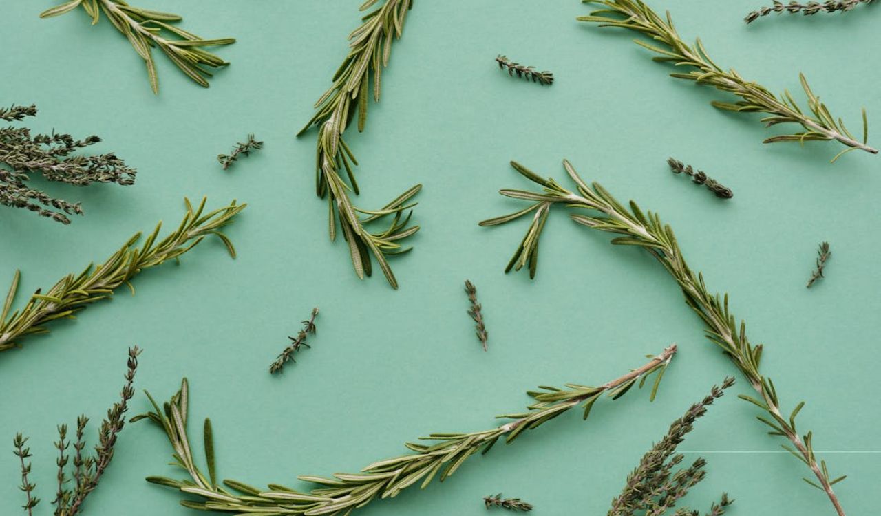 Herbs on Teal Surface