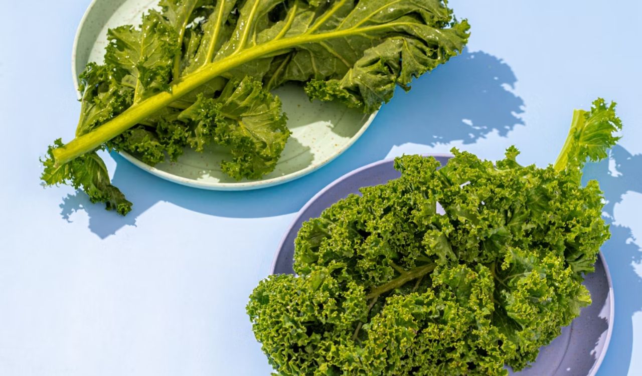Kale on plate