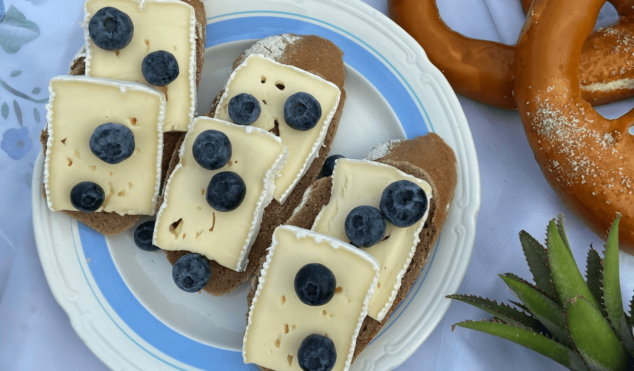 Pieces of bread with cheese on blanket