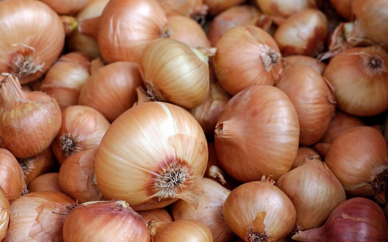 Pile of yellow onions