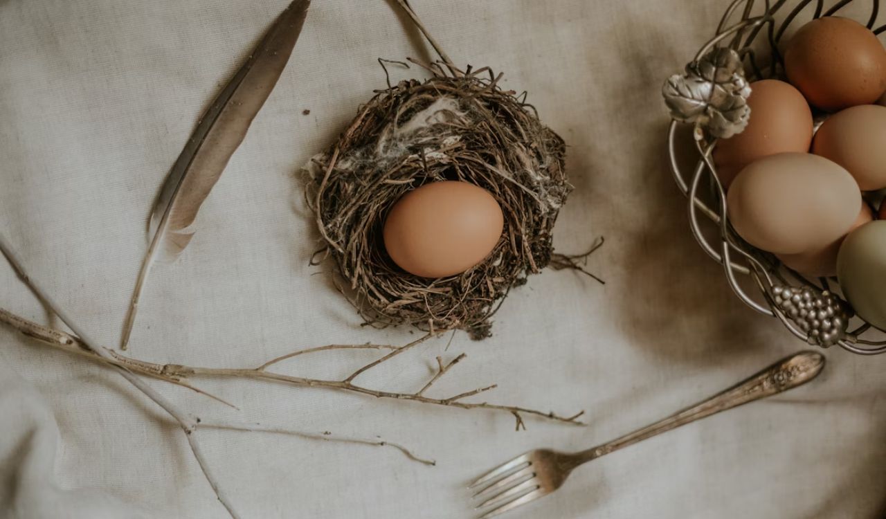 Beige egg on brown nest