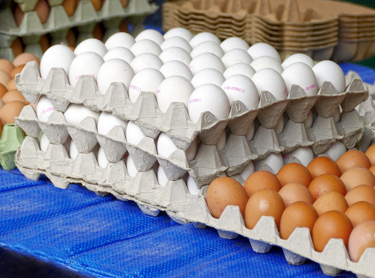 Brown Eggs or White Eggs? Here’s the Real Difference at Your Local American Market