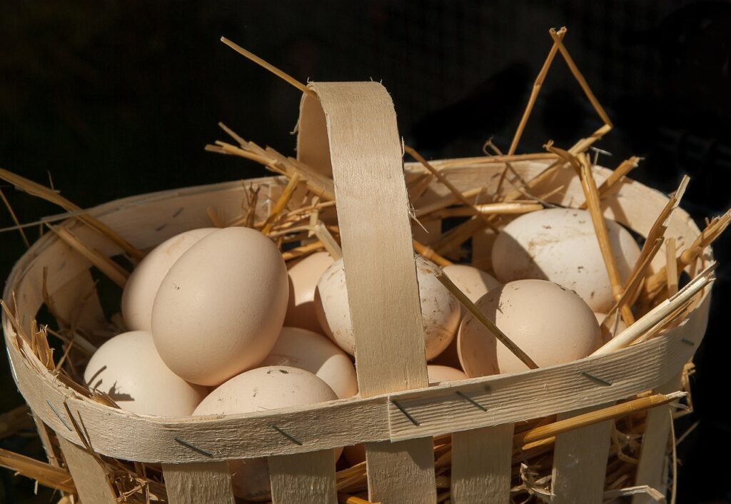 Farm-fresh eggs in a basket with grass or straw.