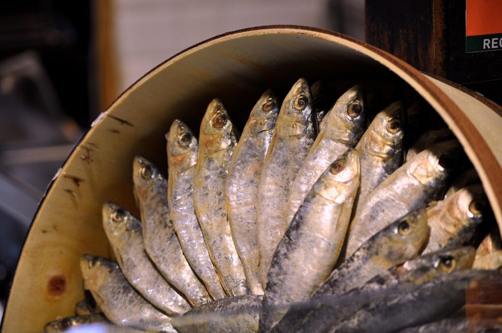 Salting, Canned, Sardines image.