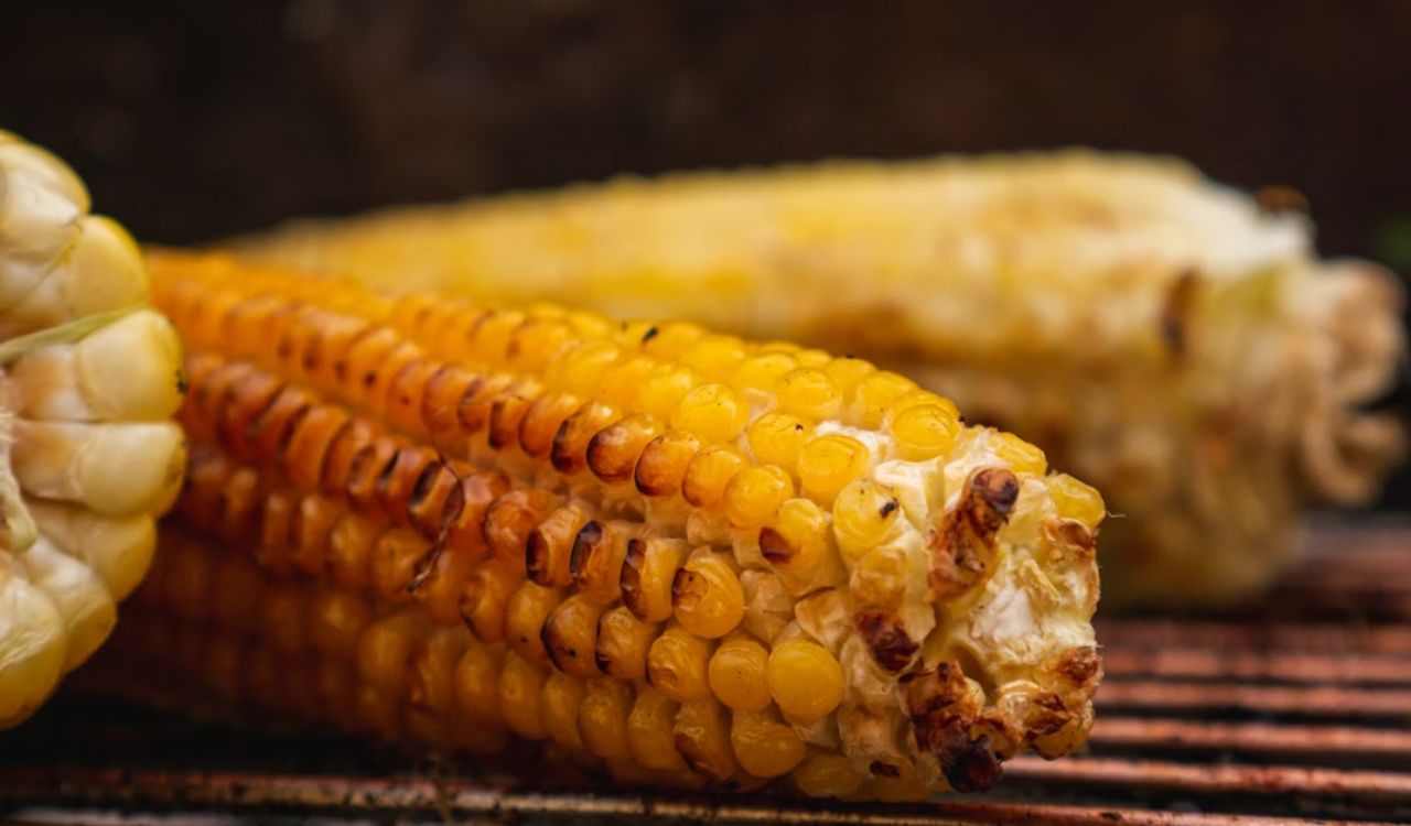 Grilled corn